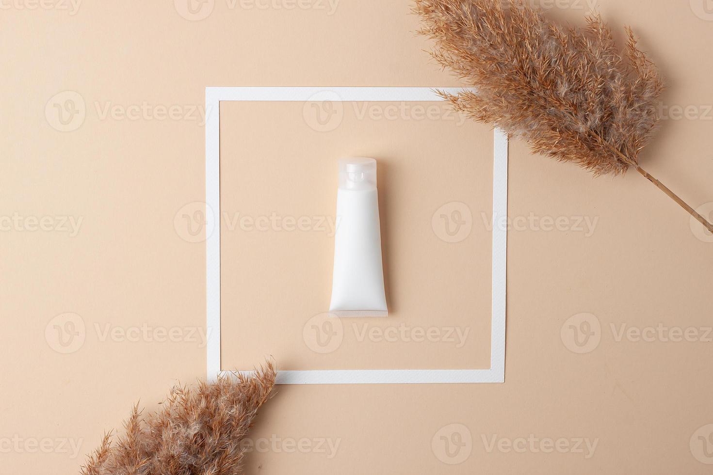 tube blanc de crème cosmétique avec cadre blanc et pampas sur fond beige pastel. mise à plat photo