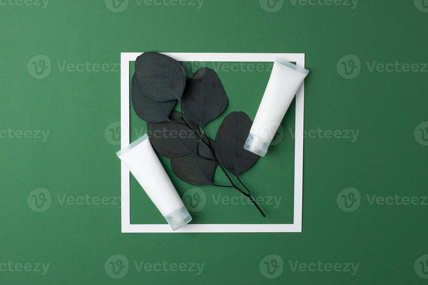 tubes blancs de crème cosmétique avec cadre blanc et eucalyptus sur fond vert. mise à plat, espace de copie photo