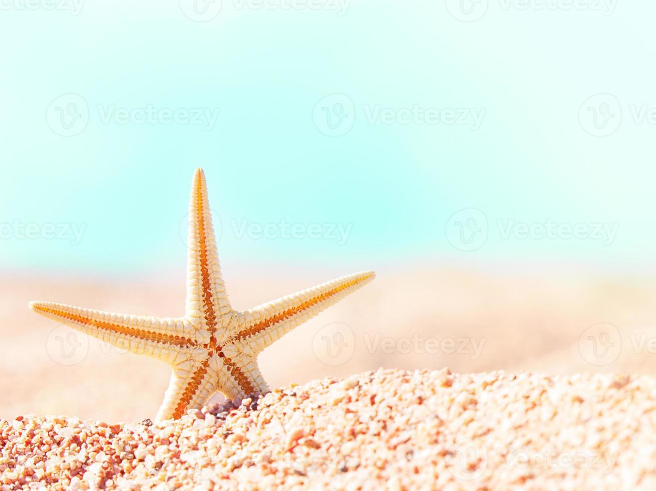 étoile de mer sur les dunes de sable. plage d'été, derrière la mer, ensoleillé. détente, mer, voyage. copie espace photo