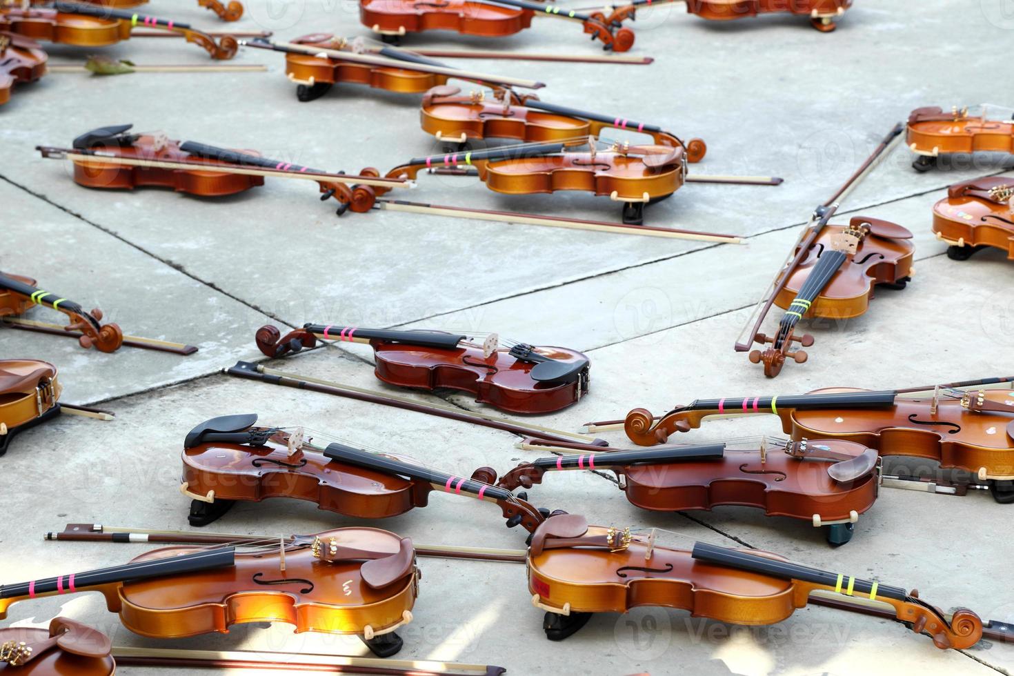 groupe de violon photo