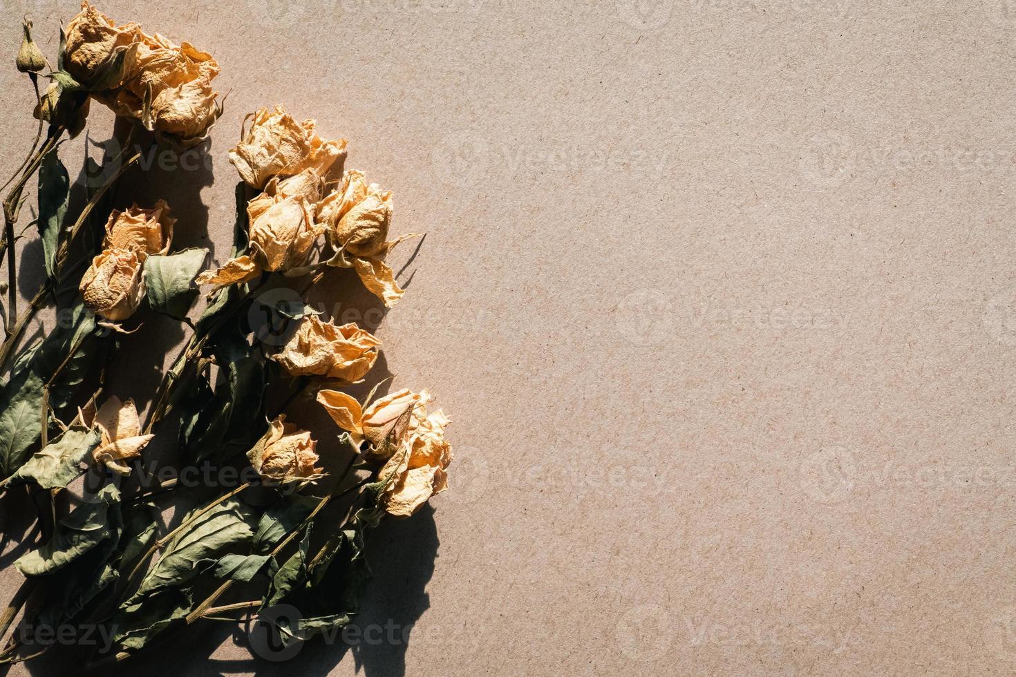 fleurs séchées sur texture de papier carton beige, fond rétro clair et ombré, espace copie photo