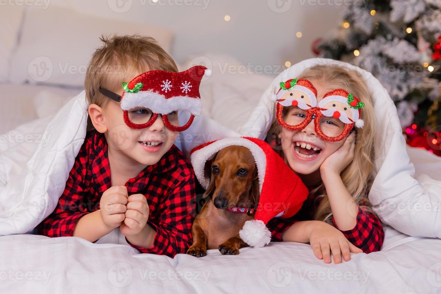 deux enfants un garçon et une fille sont allongés dans le lit avec leur animal de compagnie bien-aimé pour noël. photo de haute qualité