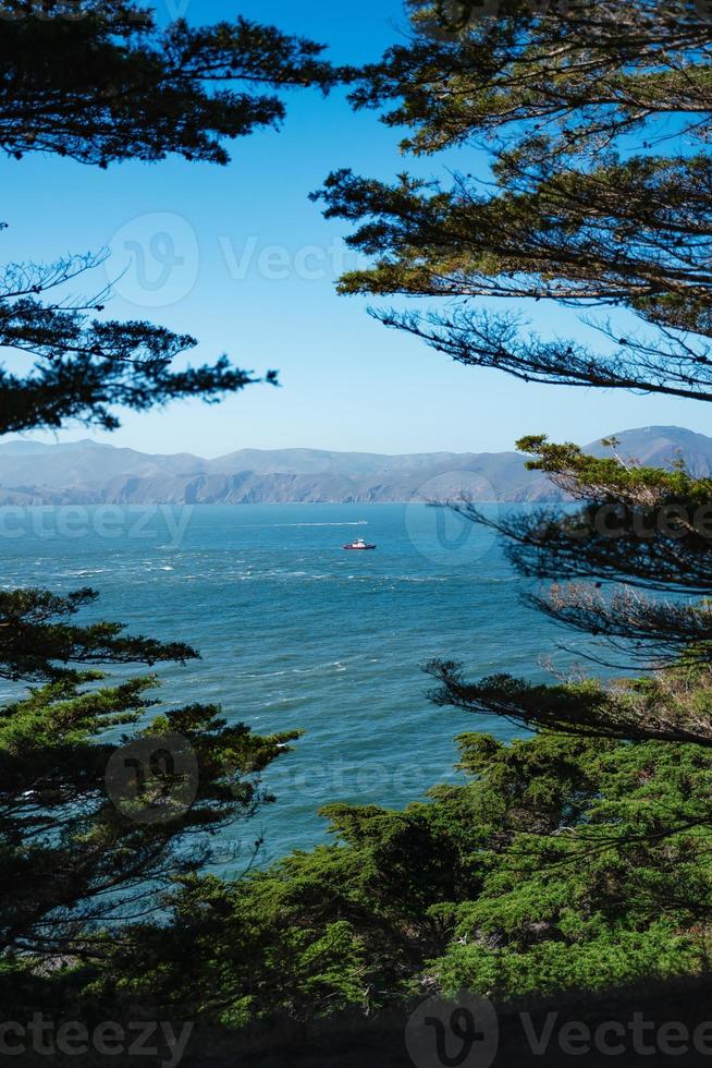 bateau dans la baie entourée d'arbres photo