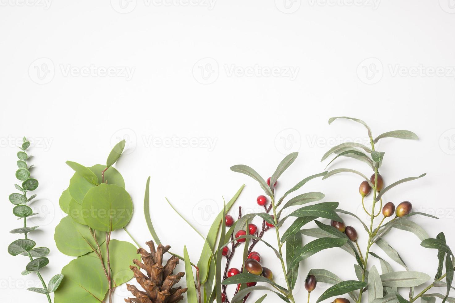 studio de fond blanc avec concept de beauté feuille, emballage et soin de la peau photo