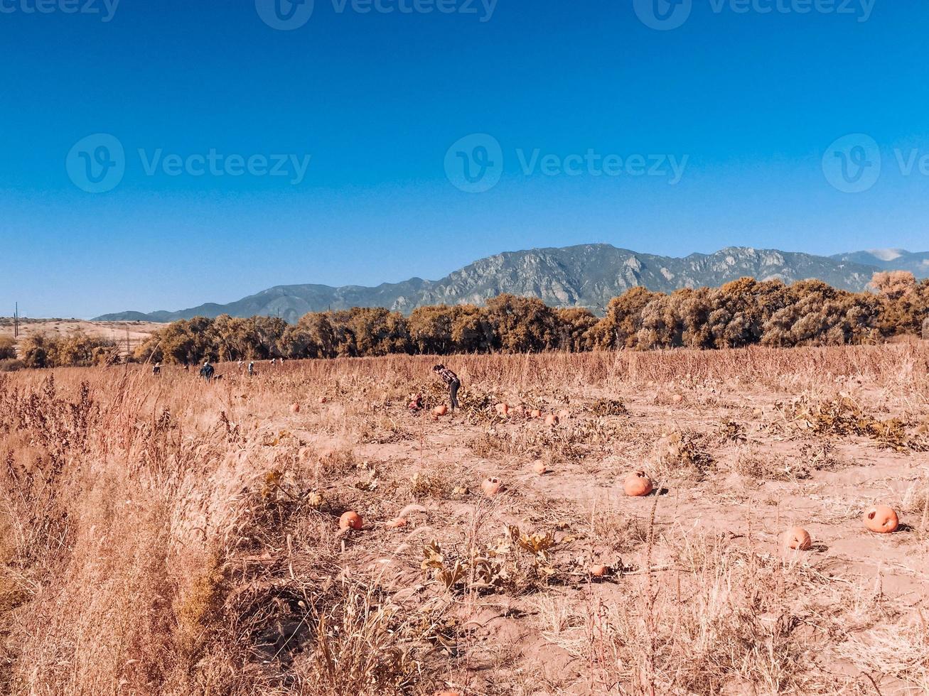 montagnes en automne photo