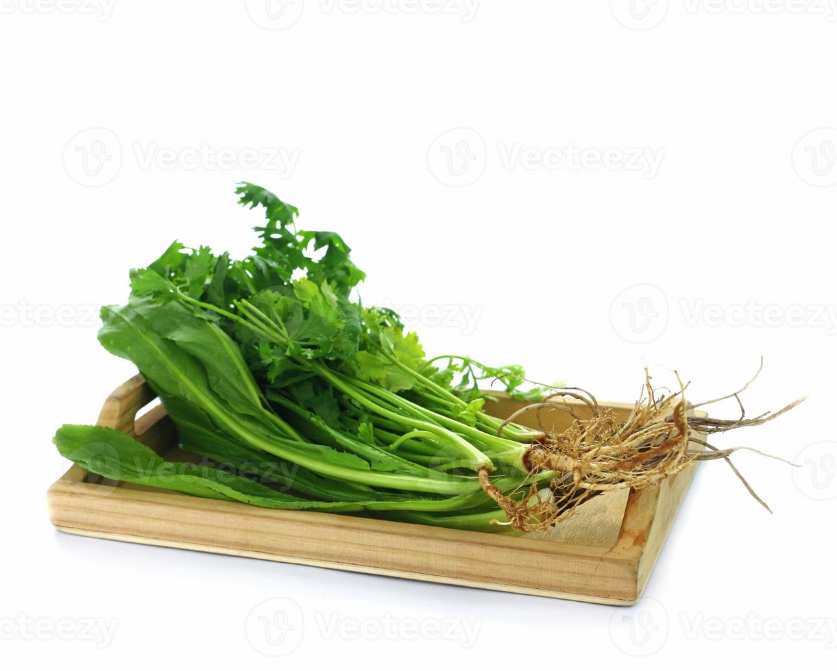 légumes verts frais sur fond blanc. photo