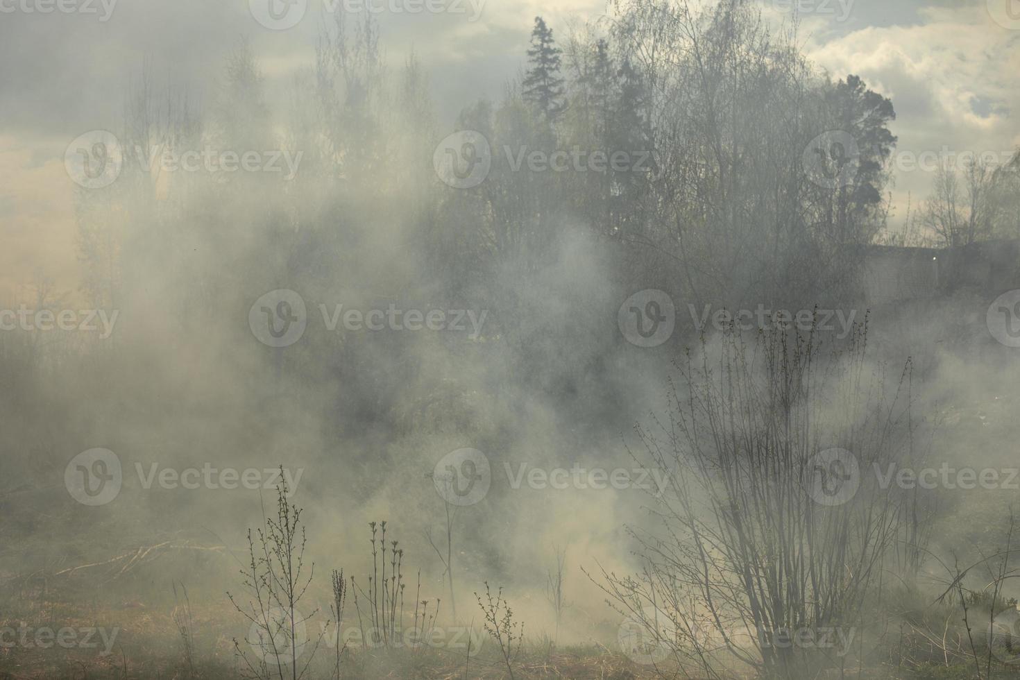 feu en forêt. fumée et feu dans la nature. brûler des ordures. photo