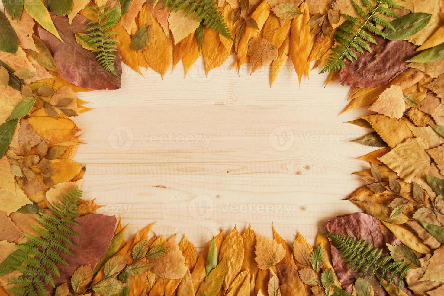 cadre de feuilles d'automne sèches jaunes, rouges et vertes sur le fond en bois, vue de dessus. photo