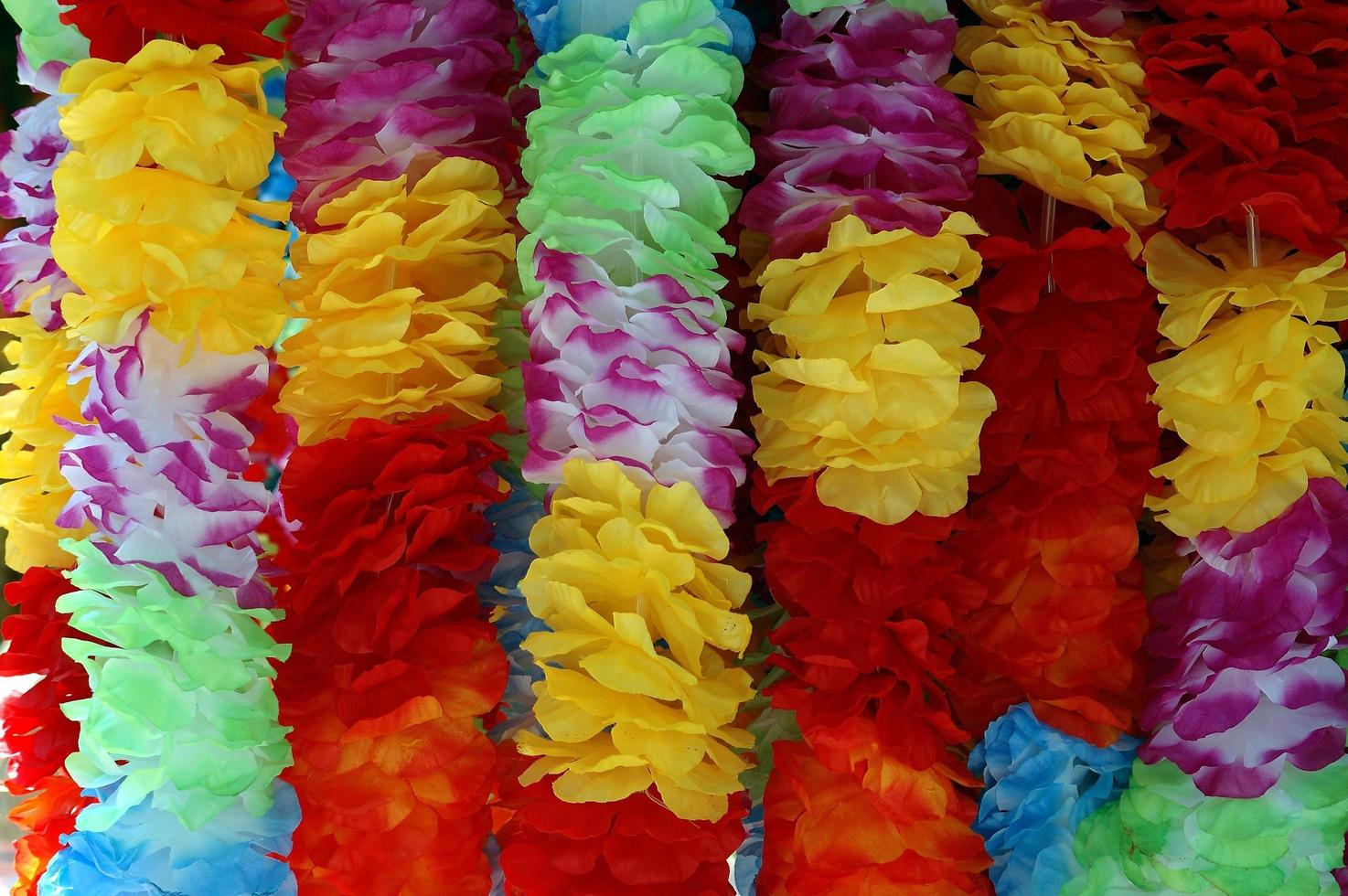 lei hawaïen vibrant photo