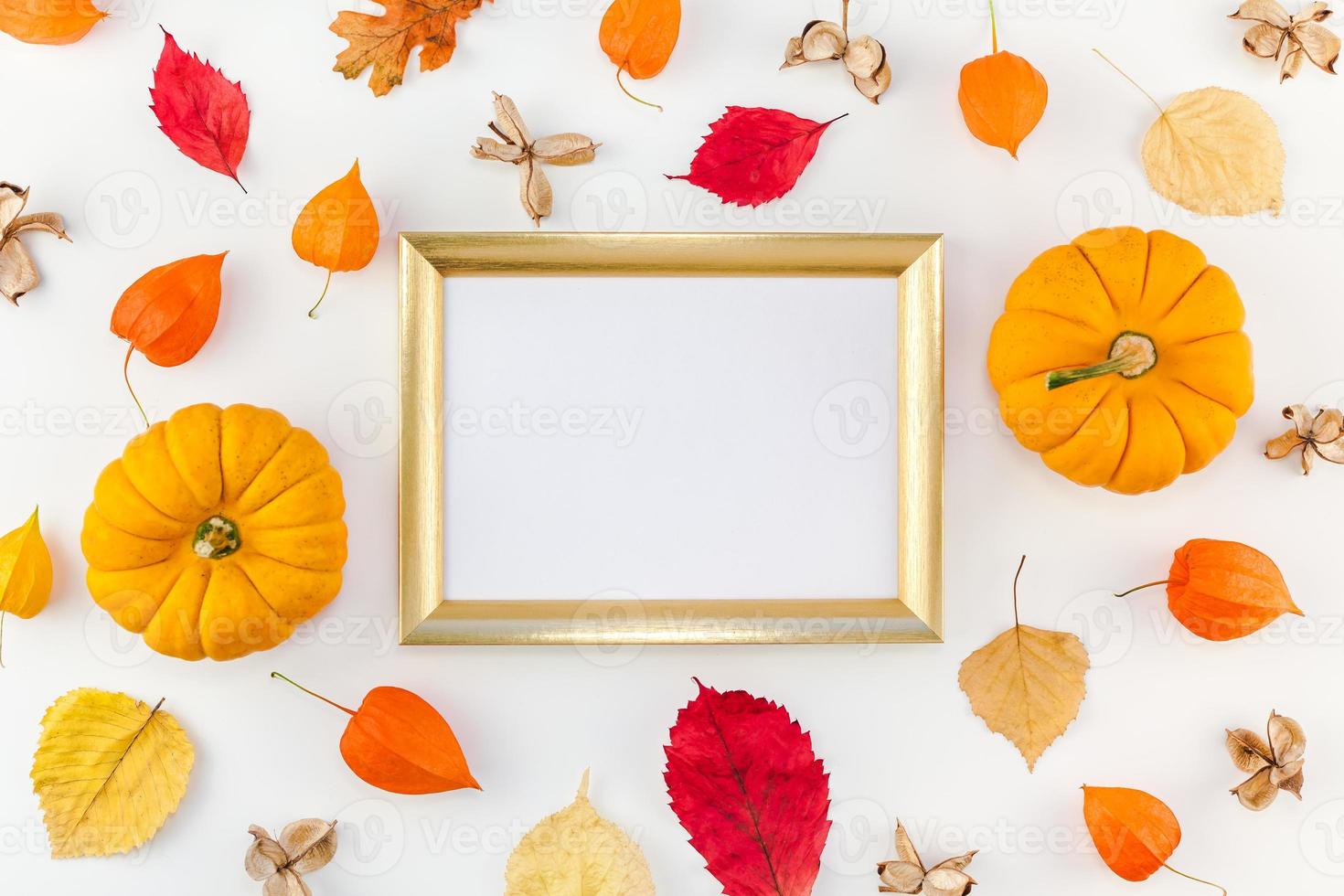 cadre fait de citrouilles fleurs et feuilles séchées photo