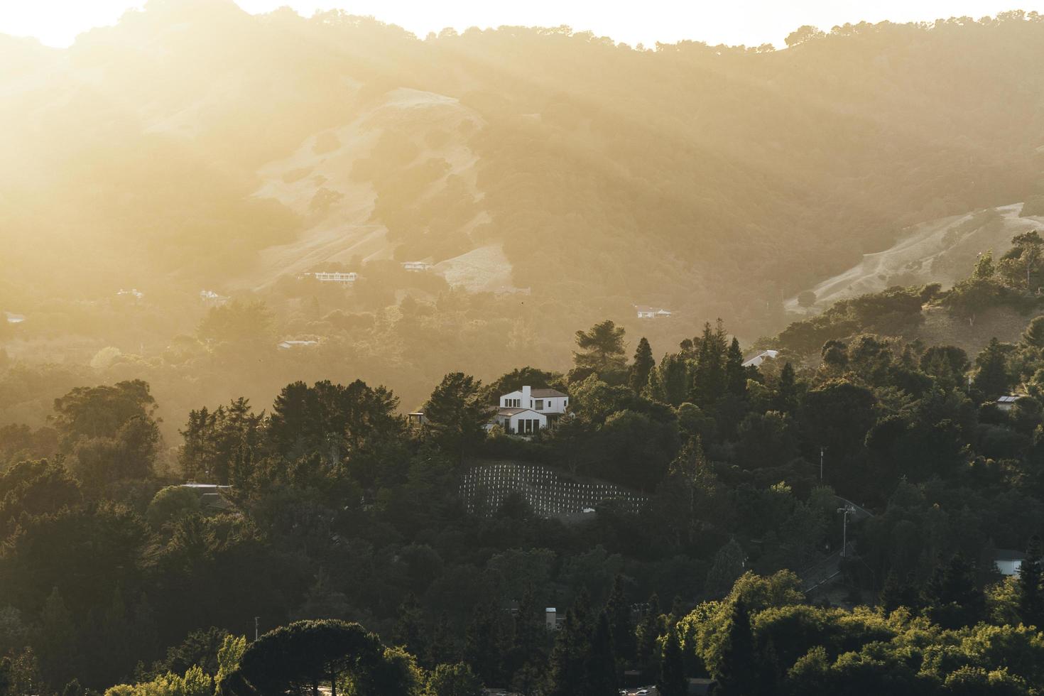 vue sur la nature à l'heure d'or photo