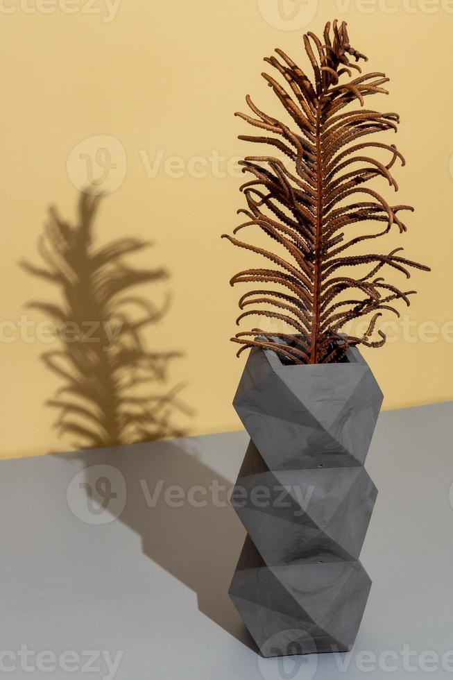 un vase en béton gris avec une branche de fougère sèche sur une table sur fond clair. photo