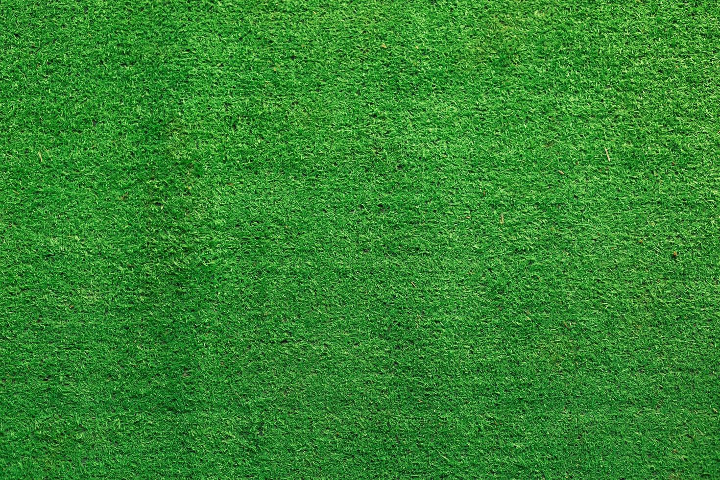 gazon artificiel vert ou terf photo