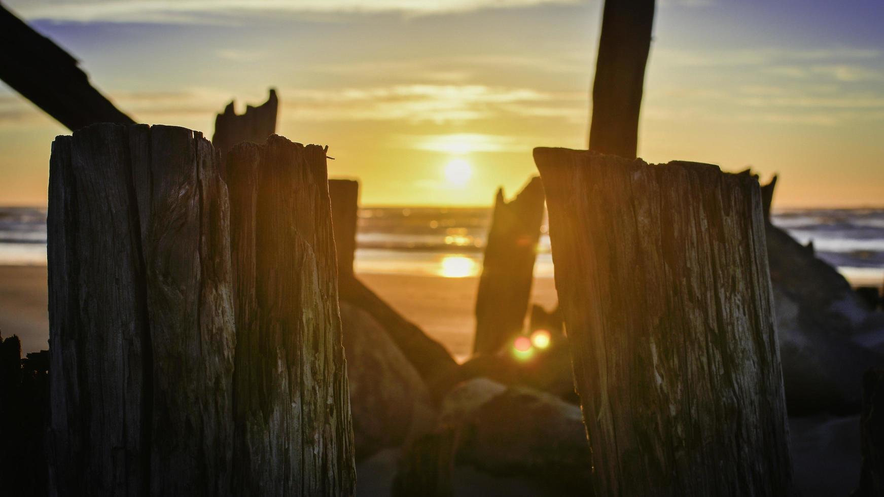 bûches de bois sur la plage au coucher du soleil photo