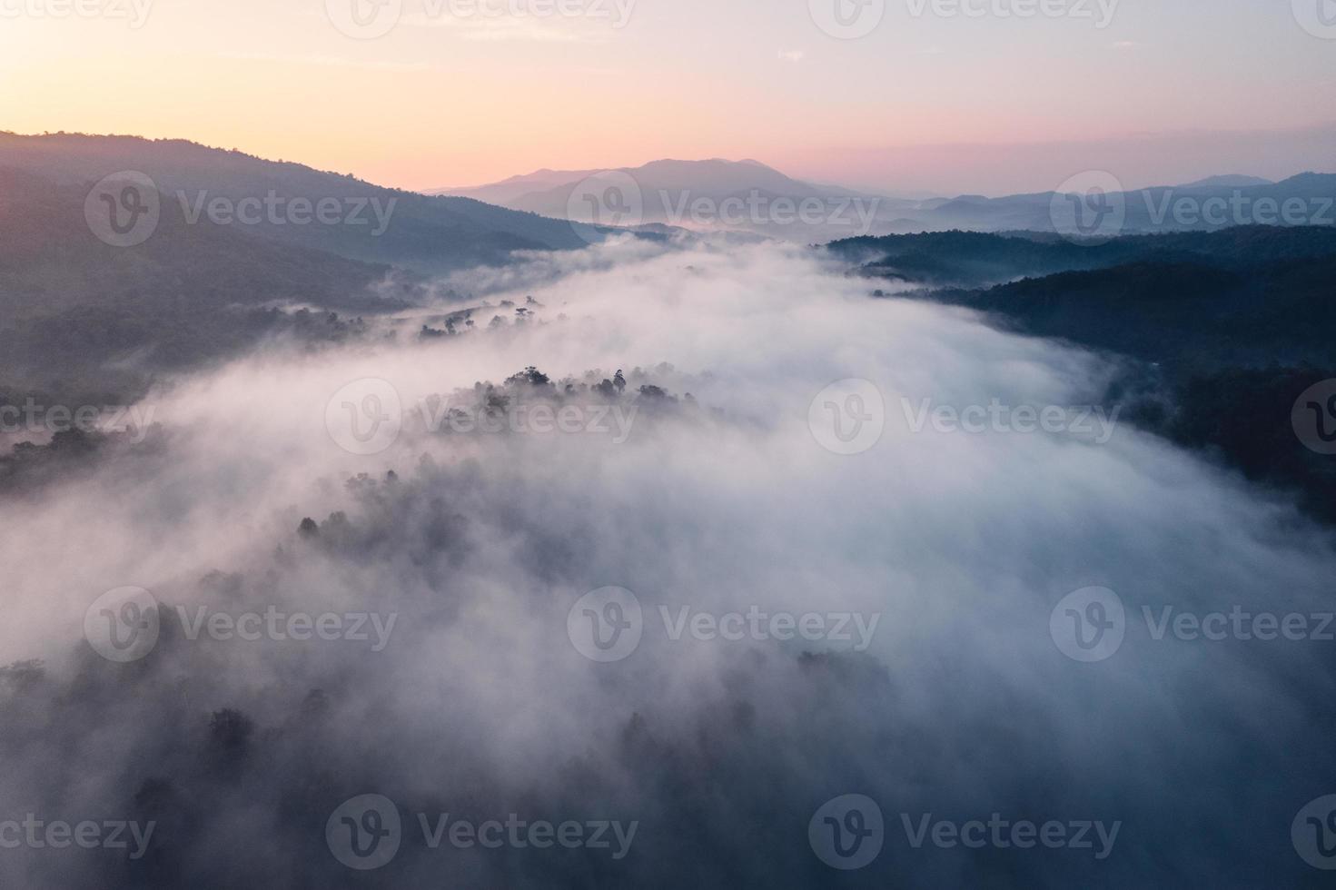 brouillard du matin et nuages dans la forêt de la colline photo