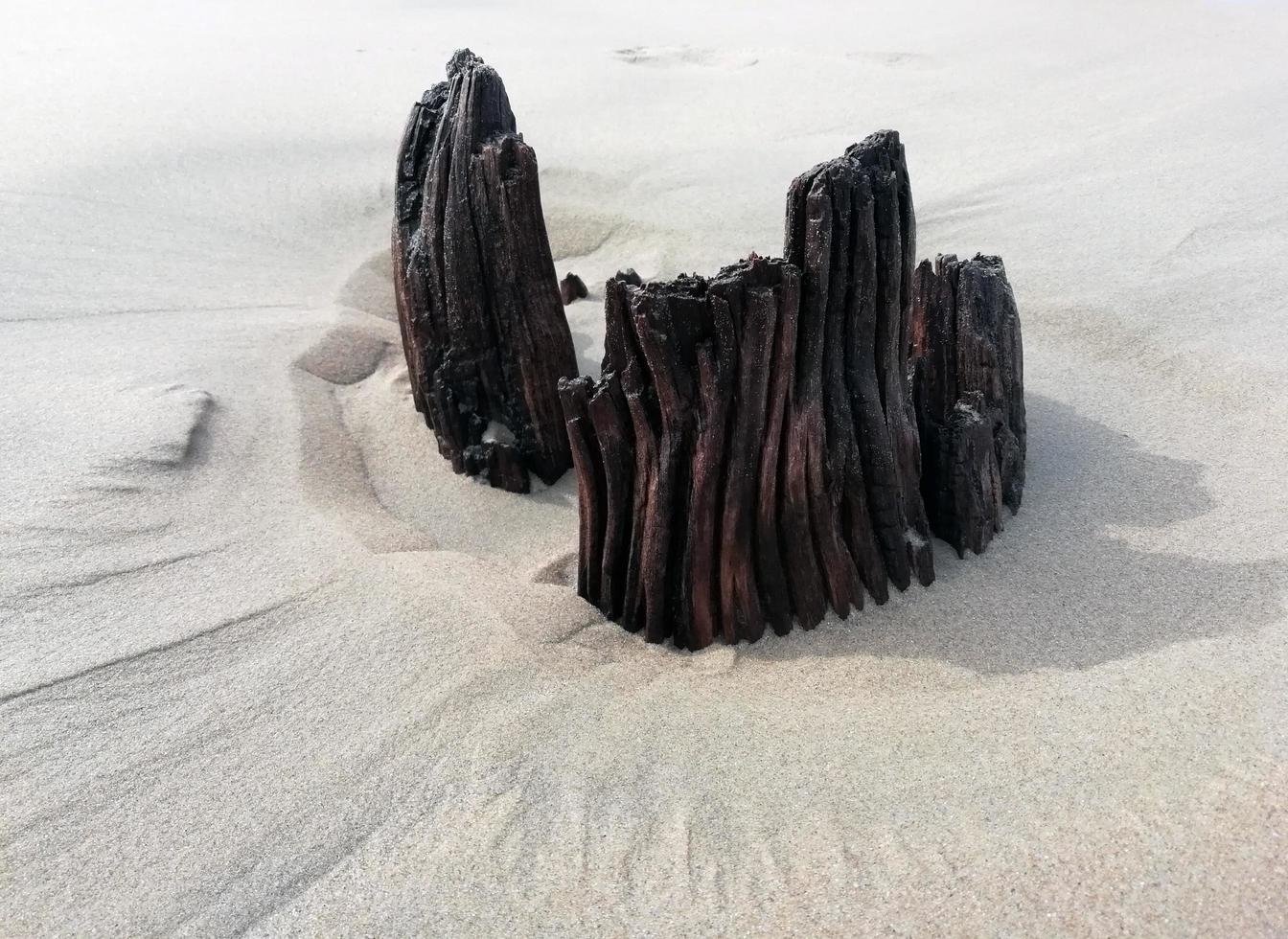 bois de plage dans le sable photo