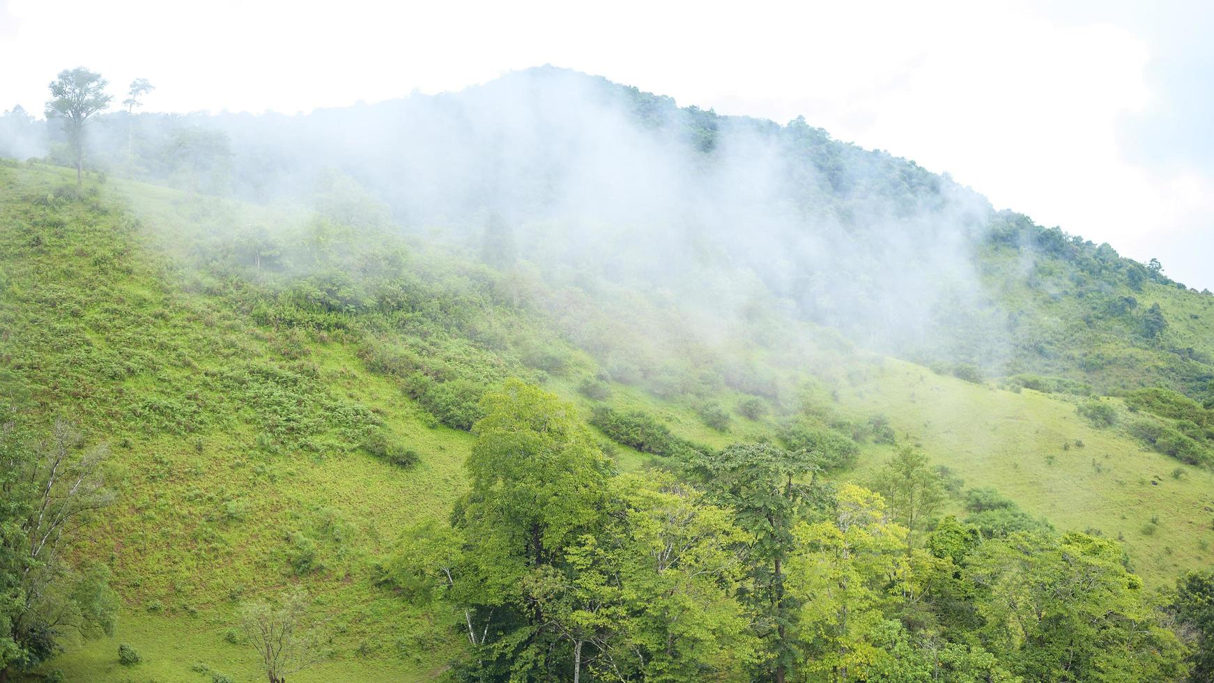 vue sur la montagne en saison des pluies photo