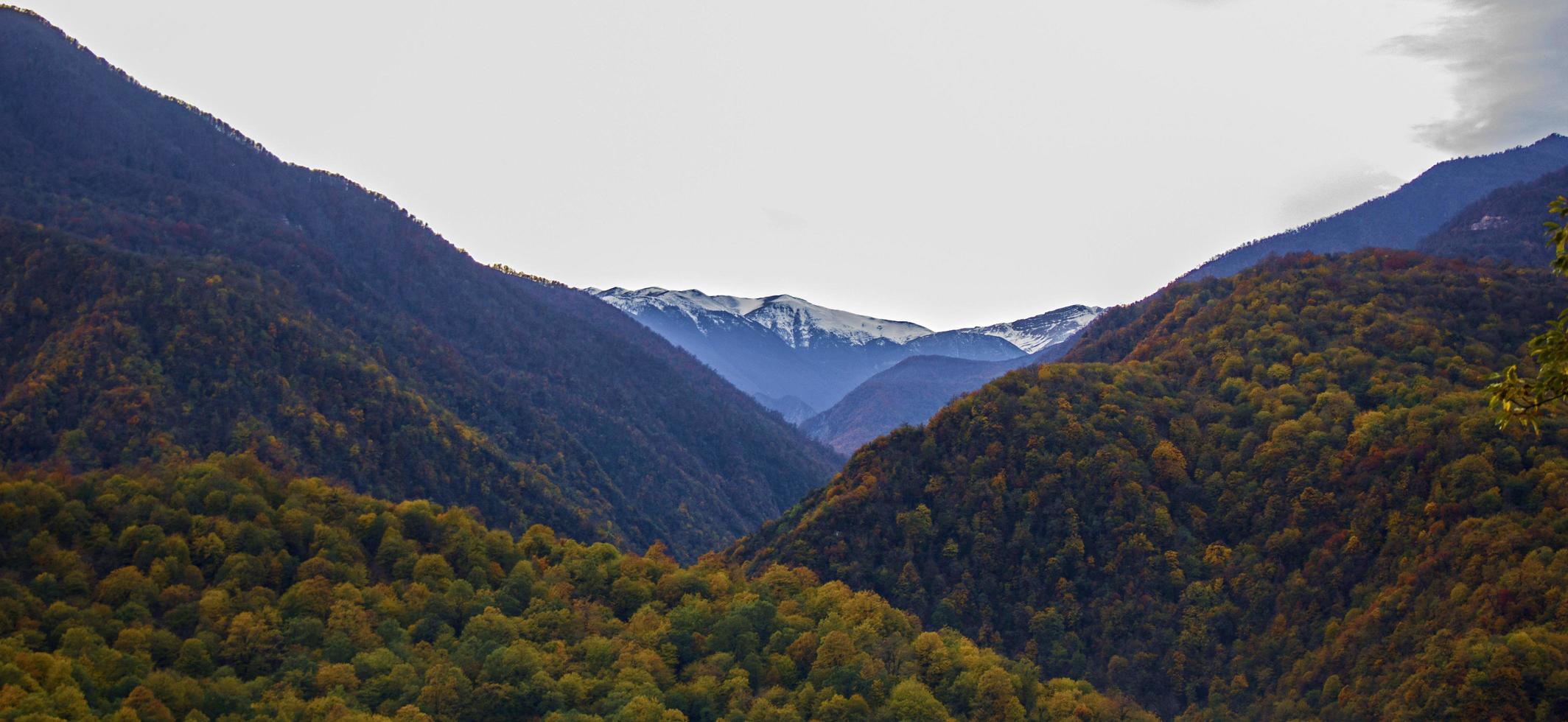 jungle et montagnes enneigées photo