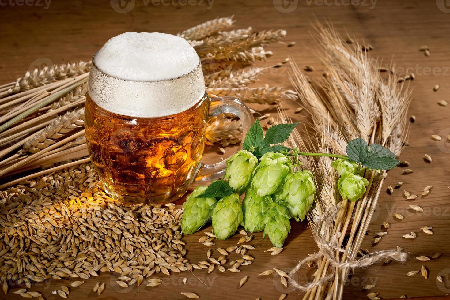 verre à bière et houblon photo