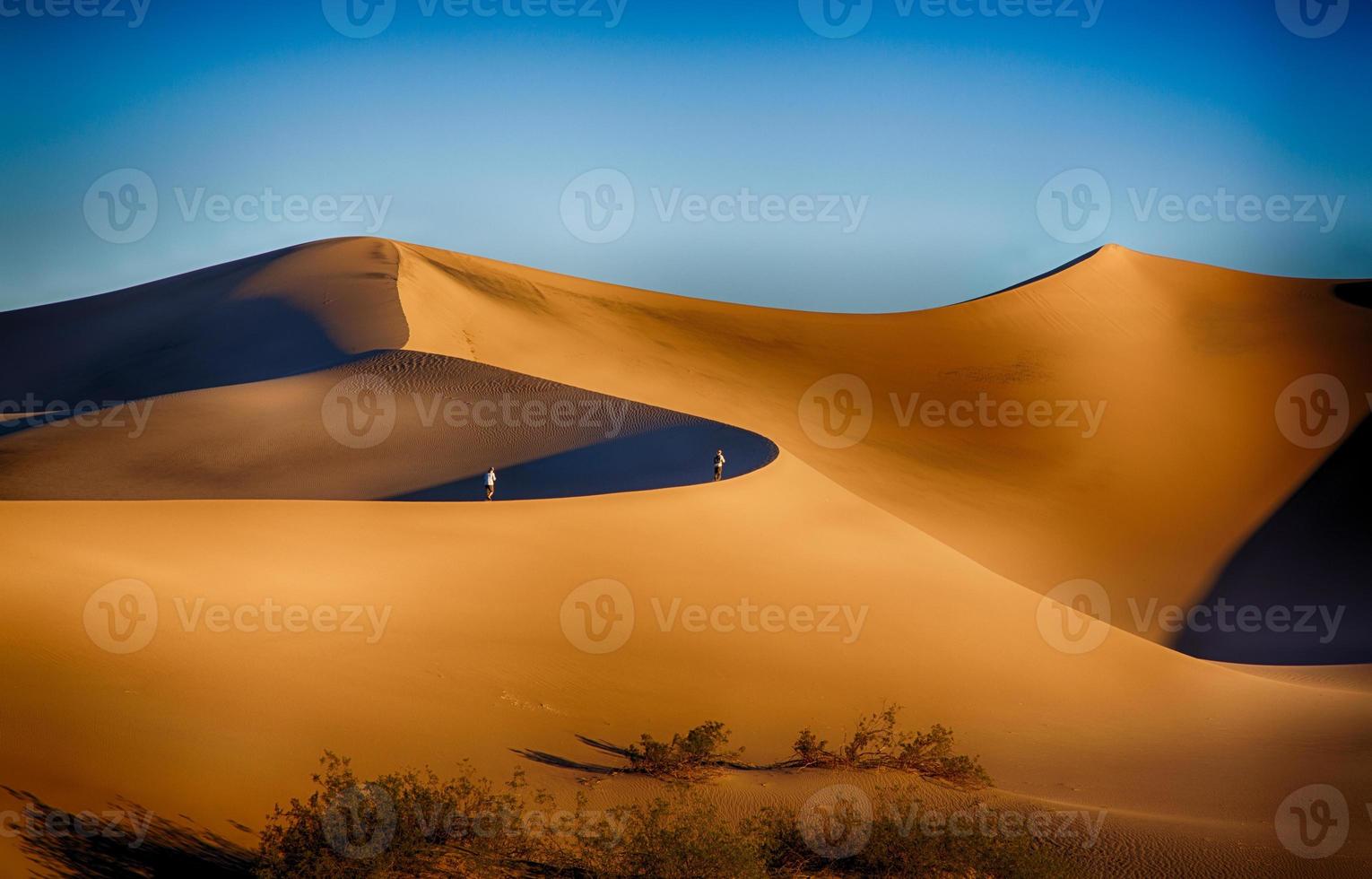 dunes de la vallée de la mort photo
