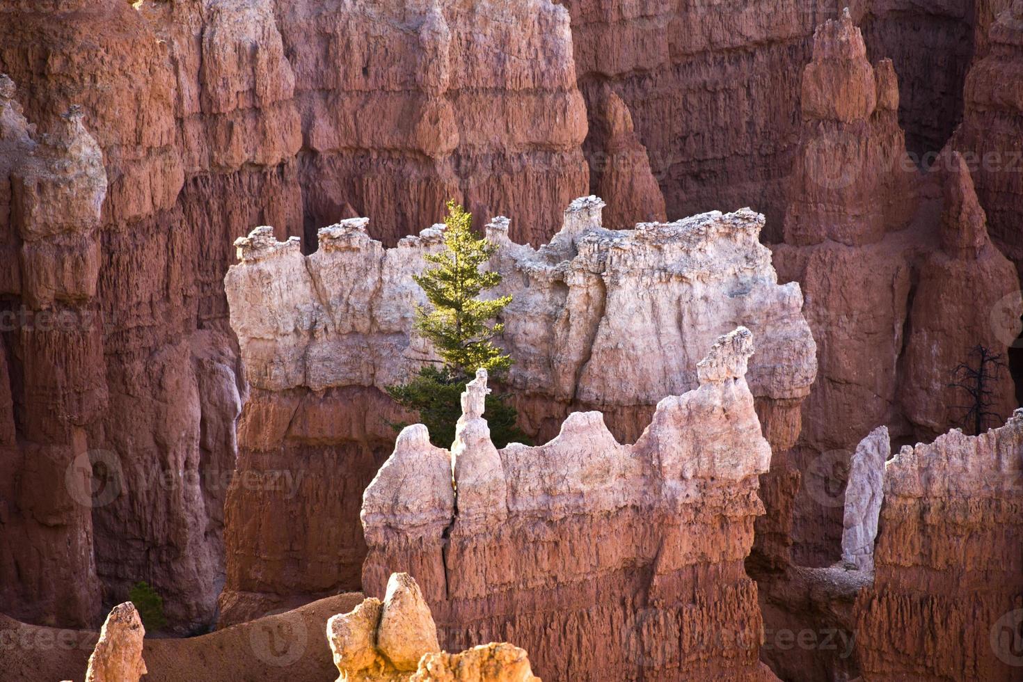 beau paysage à bryce canyon avec magnifique forma en pierre photo