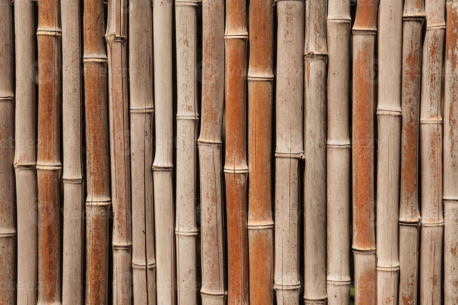 fond de clôture en bambou photo