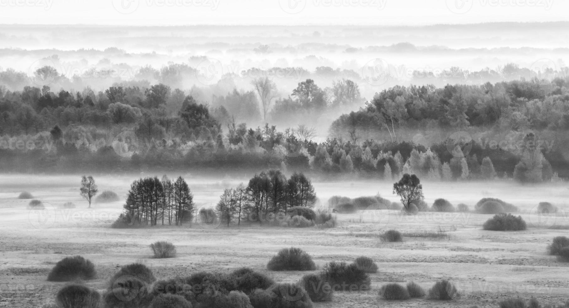 champ brumeux le matin - version bw. photo