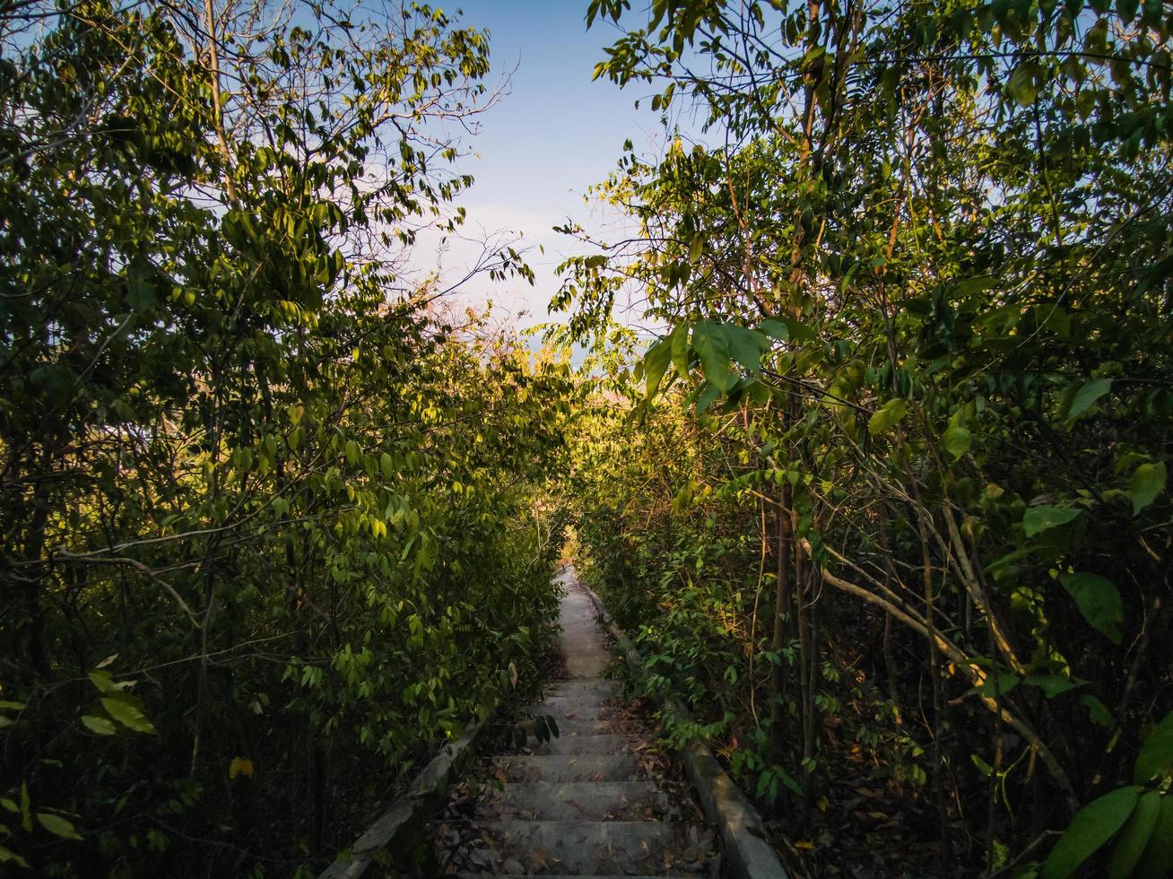 belle nature et escalier menant au sommet de l'île de koh lan pattaya en thaïlande. L'île de koh lan est la célèbre île près de la ville de pattaya, la destination de voyage en thaïlande. photo