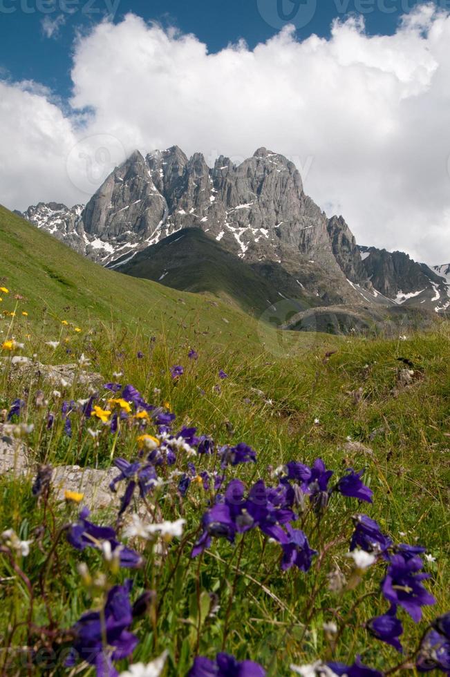 Montagnes du Caucase - groupe de montagnes chaukhi photo
