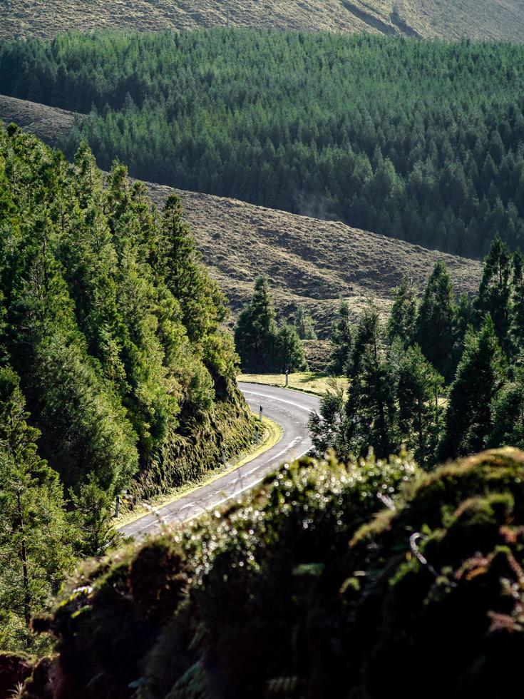 route asphaltée avec arbres environnants photo