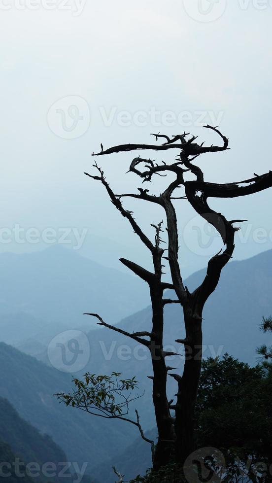 les beaux paysages de montagnes avec la forêt verte et la falaise rocheuse en éruption en arrière-plan dans la campagne de la chine photo