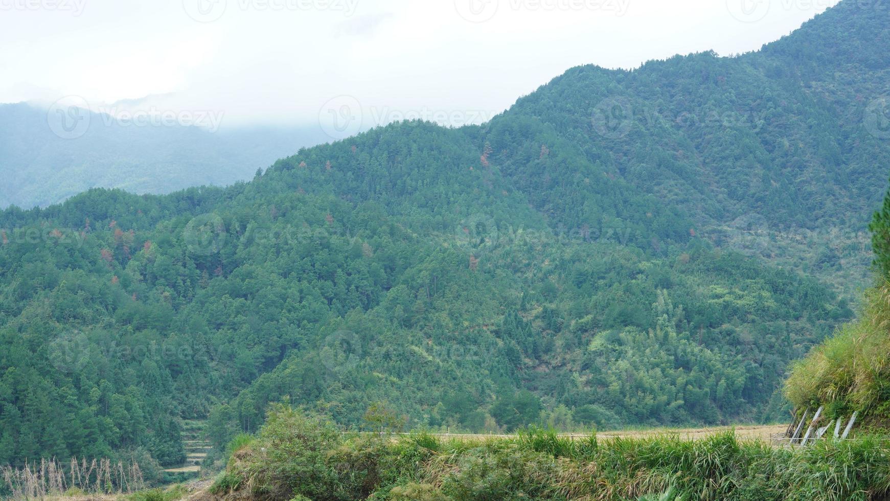 les beaux paysages de montagnes avec la forêt verte et le petit village en arrière-plan dans la campagne de la chine photo