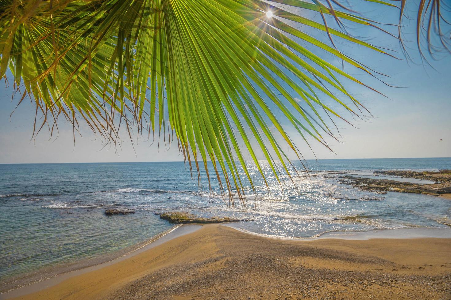 vue mer et sable unique. palmier. belle plage vue paisible photo