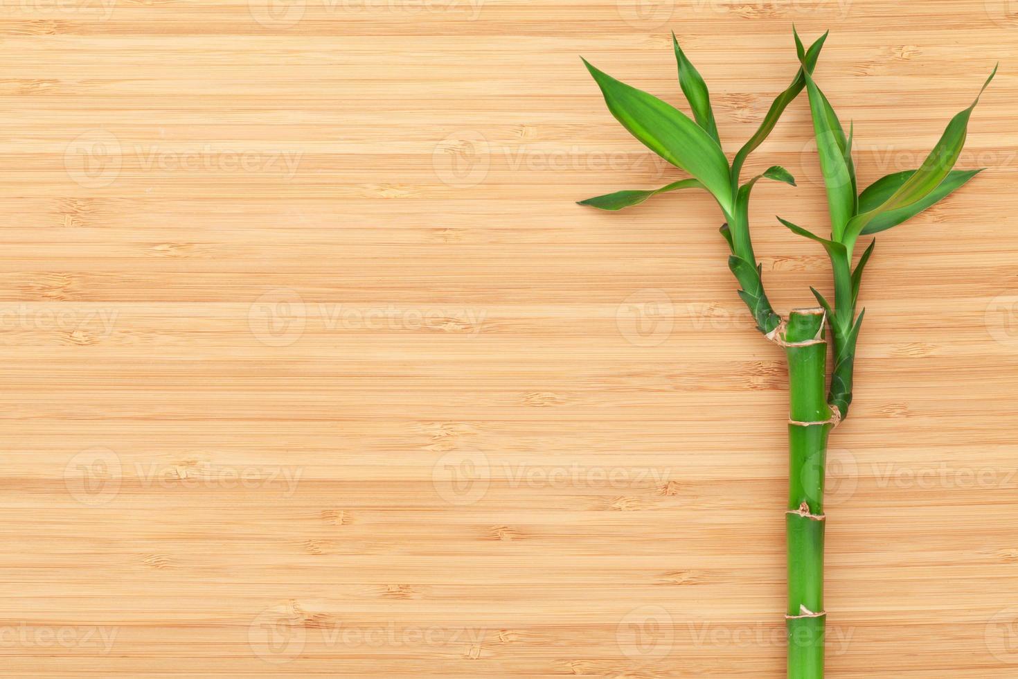 plante de bambou sur table en bois photo
