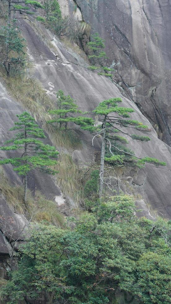 les beaux paysages de montagnes avec la forêt verte et la falaise rocheuse en éruption en arrière-plan dans la campagne de la chine photo