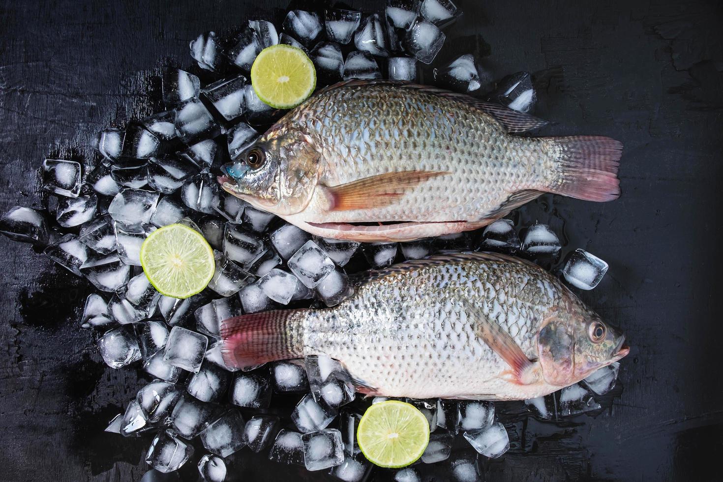 Poissons tilapia frais sur glace aux citrons photo