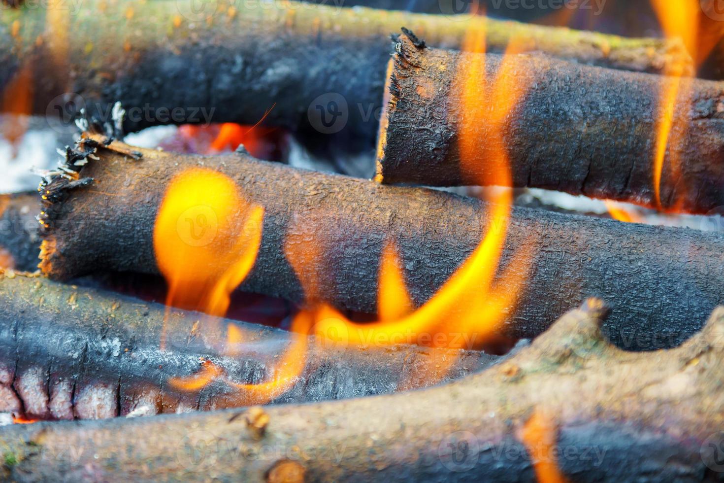 gros plan feu de bois photo