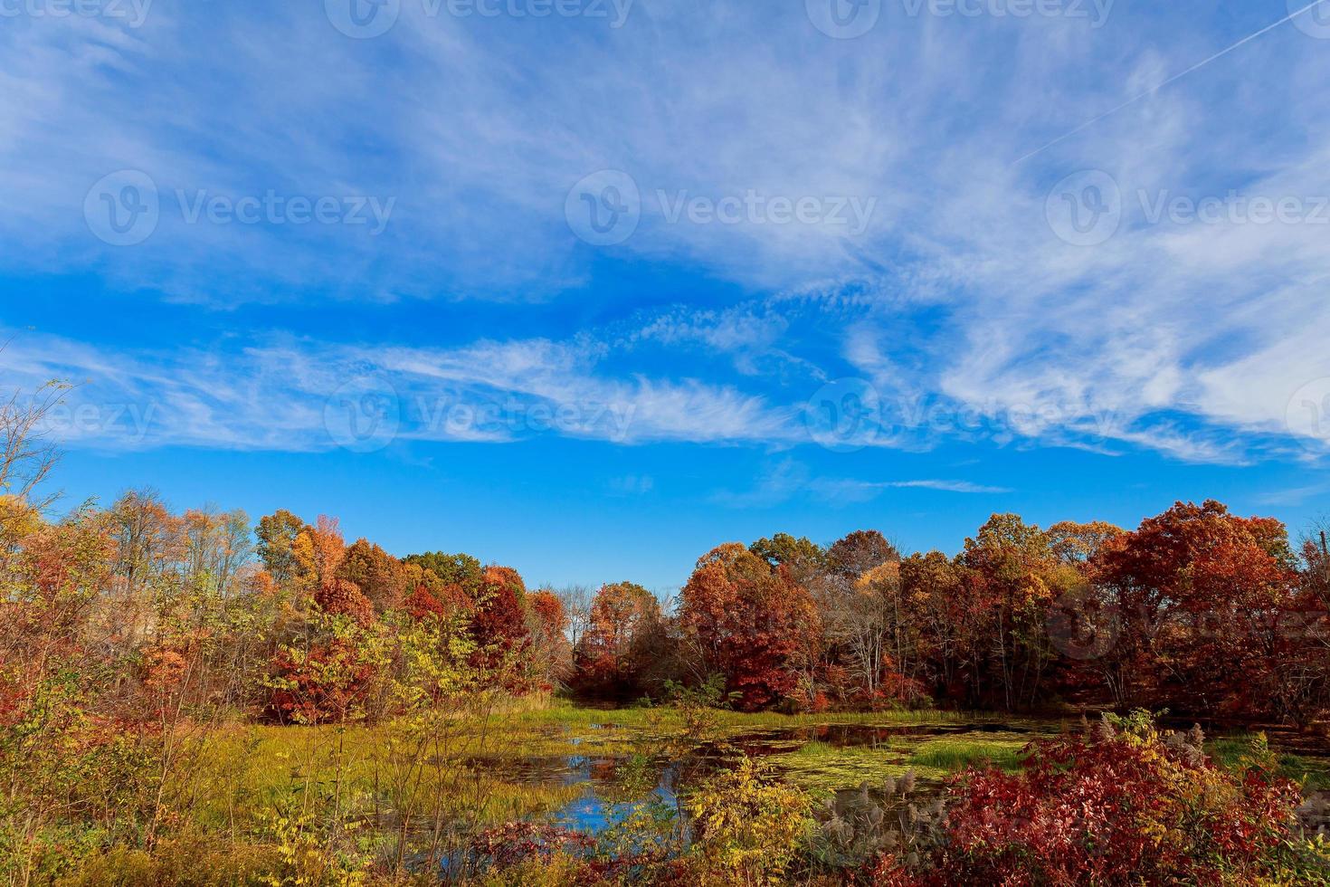 paysage d'automne. arbres jaunes, ciel bleu et lac. paysages naturels à l'automne. photo