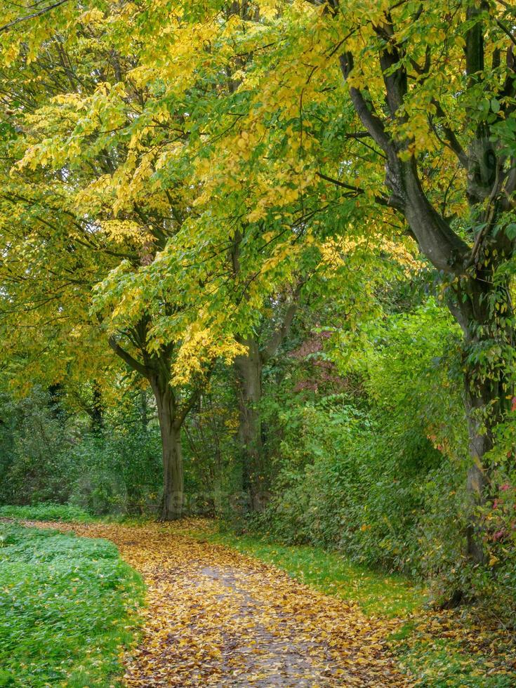 Temps d'automne à une rivière en Allemagne photo