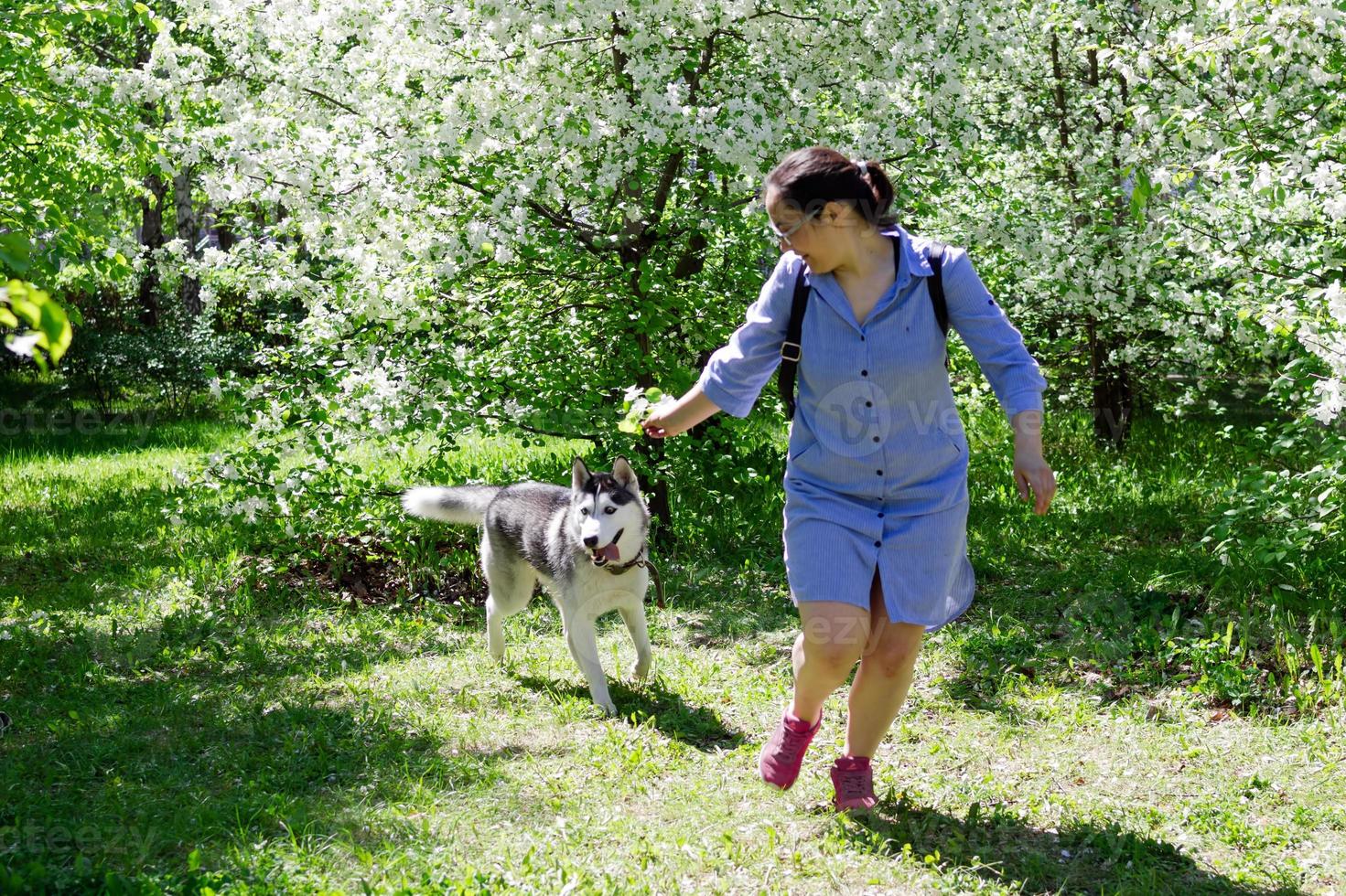 jeune fille joue avec son chien husky dans un jardin avec des pommiers en fleurs. photo