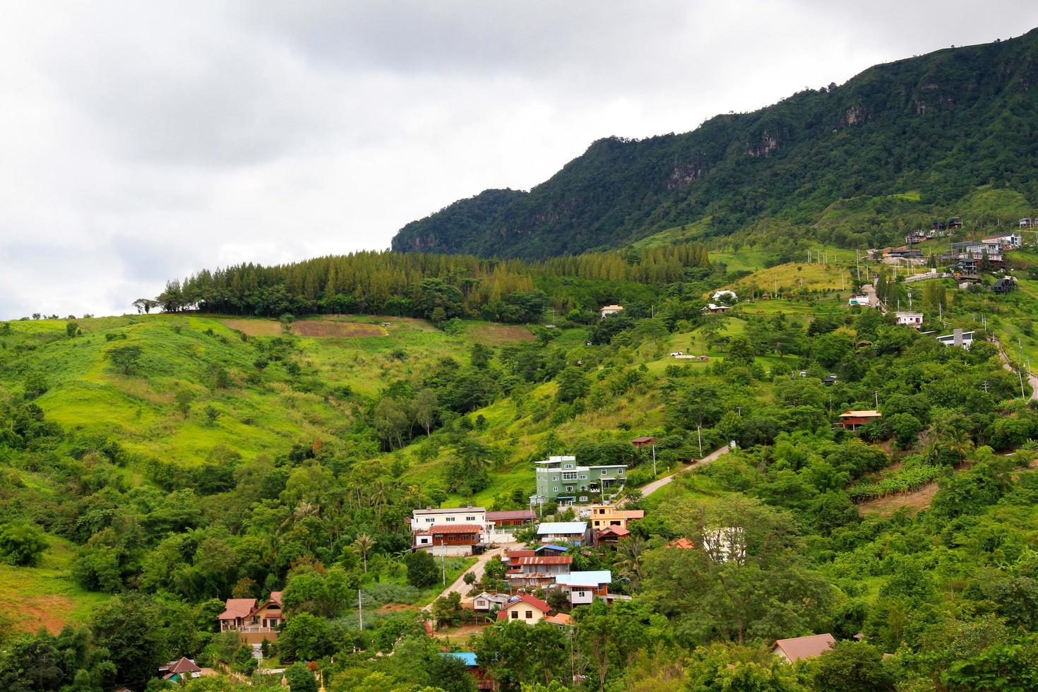 de nombreuses maisons ou maisons construites sont disposées sur une montagne verte avec fond de ciel. village sur une colline au nord de la thaïlande. structure du bâtiment parmi la forêt tropicale ou la jungle. les gens vivent dans la nature. paysage photo