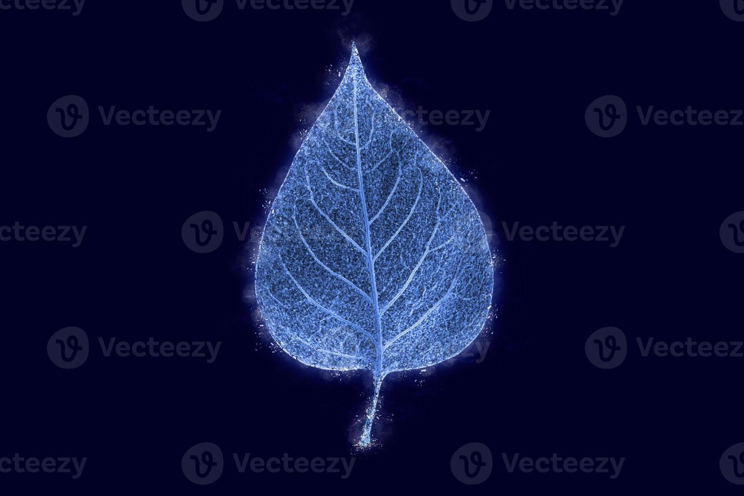 une feuille d'arbre de syringa glacée congelée isolée sur fond bleu foncé, effet couvert de glace bleue sur la feuille photo