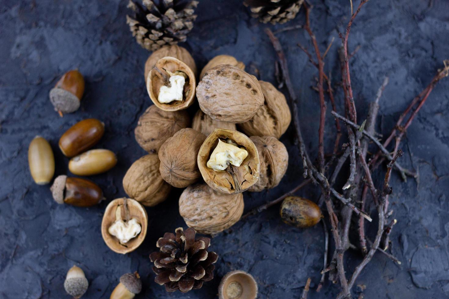 un tas de noix avec des glands, prêt pour la saison hivernale. photo