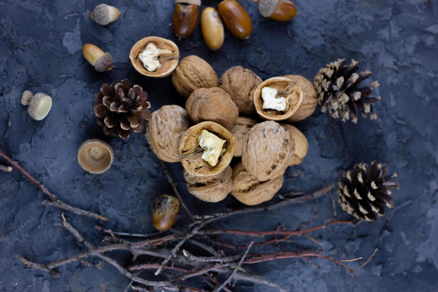 un tas de noix avec des glands, prêt pour la saison hivernale. photo