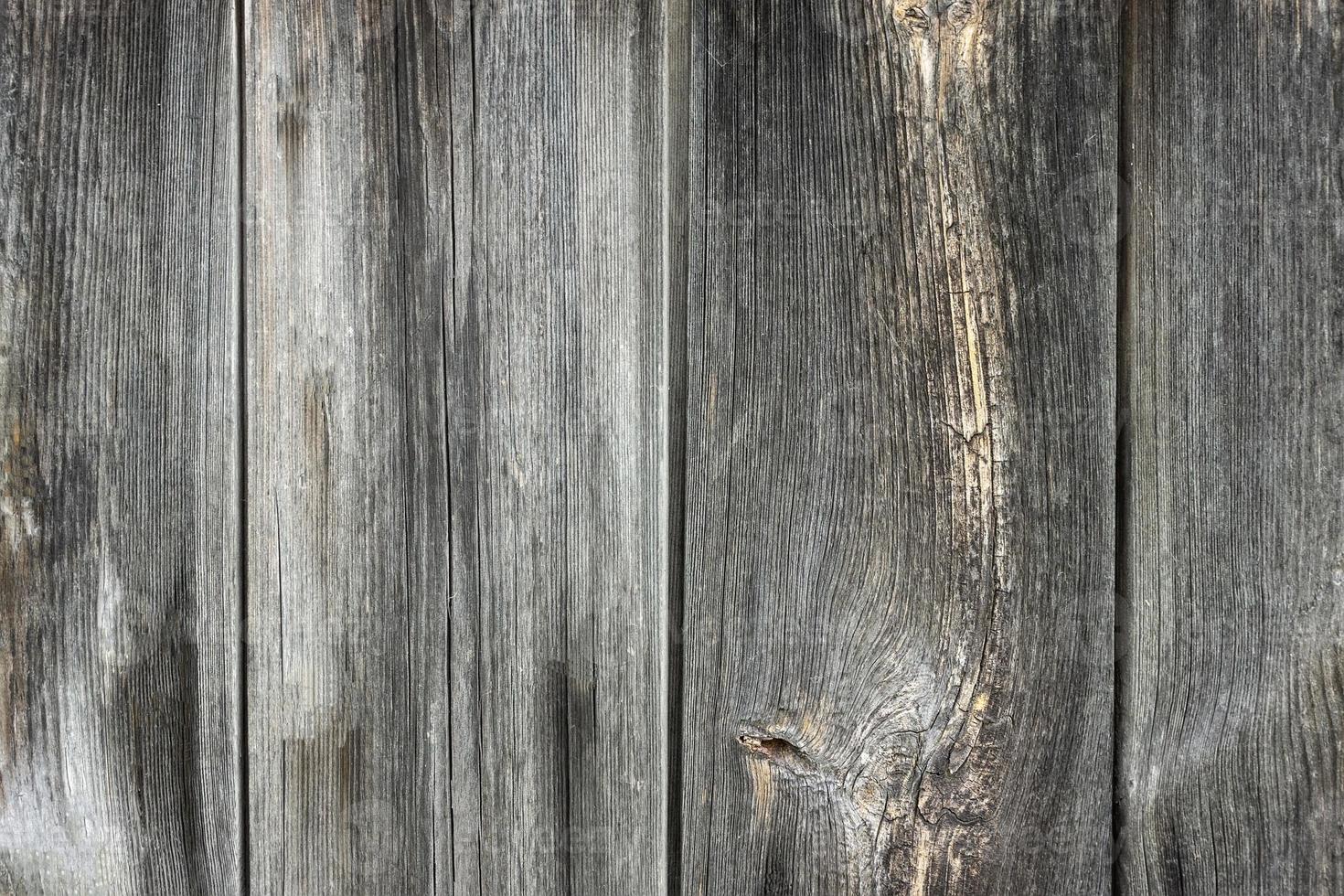 texture d'un fond en bois photo