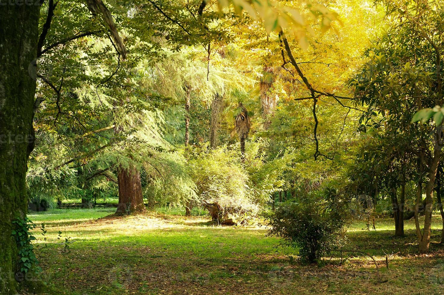 se garer l'après-midi photo