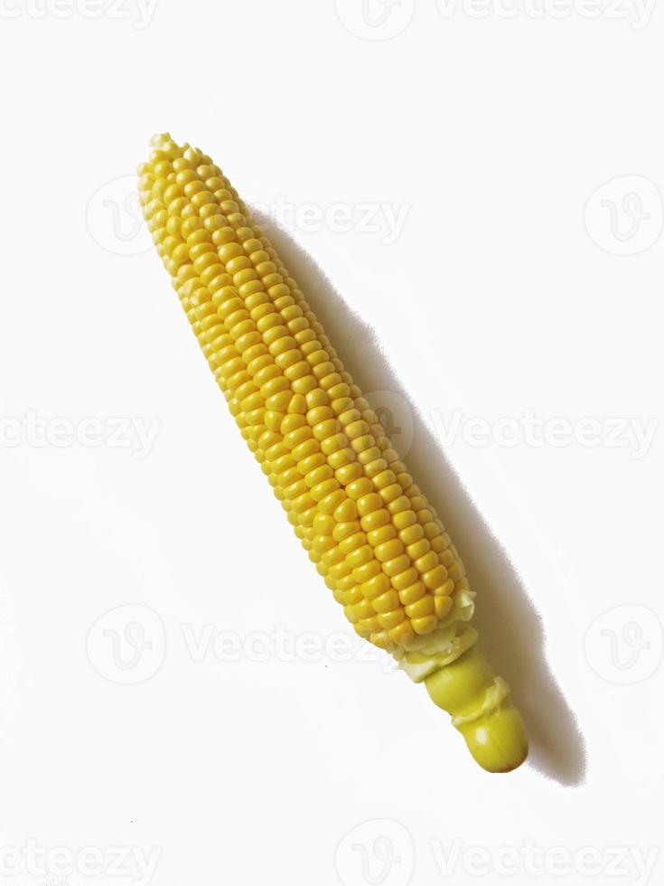 Seul épi de maïs isolé sur fond blanc photo