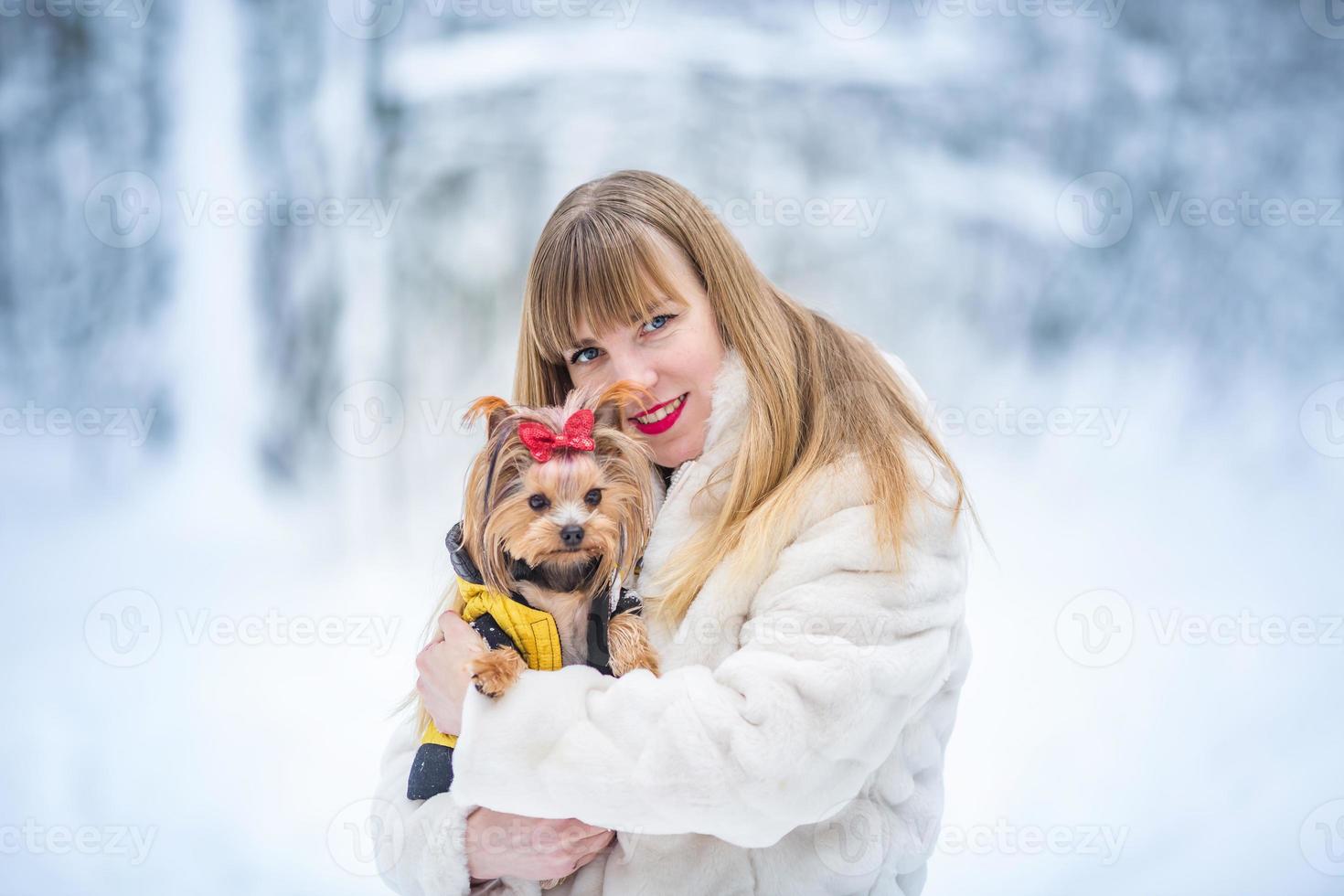 heureuse souriante jeune femme blanche confiante joli visage avec un petit chiot yorkshire terrier à la forêt enneigée photo
