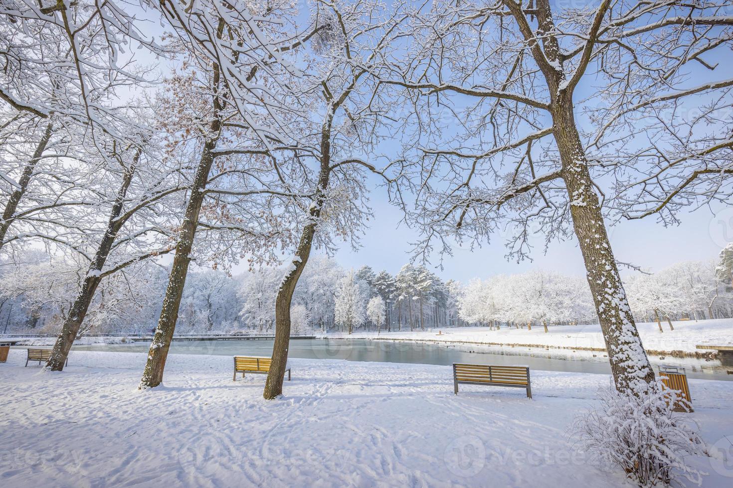 paysage d'hiver avec forêt enneigée. journée ensoleillée, parc de la ville en plein air, sentier ou sentier et bancs vue panoramique relaxante. paysage naturel d'hiver saisonnier, forêt gelée, calme serein photo