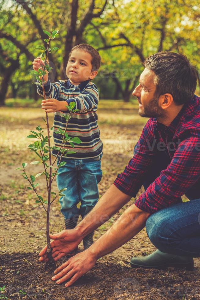 ça va être un grand arbre petit garçon aidant son père à planter l'arbre tout en travaillant ensemble dans le jardin photo